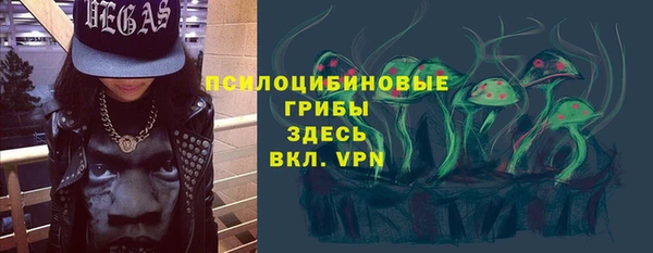 МДПВ Волоколамск